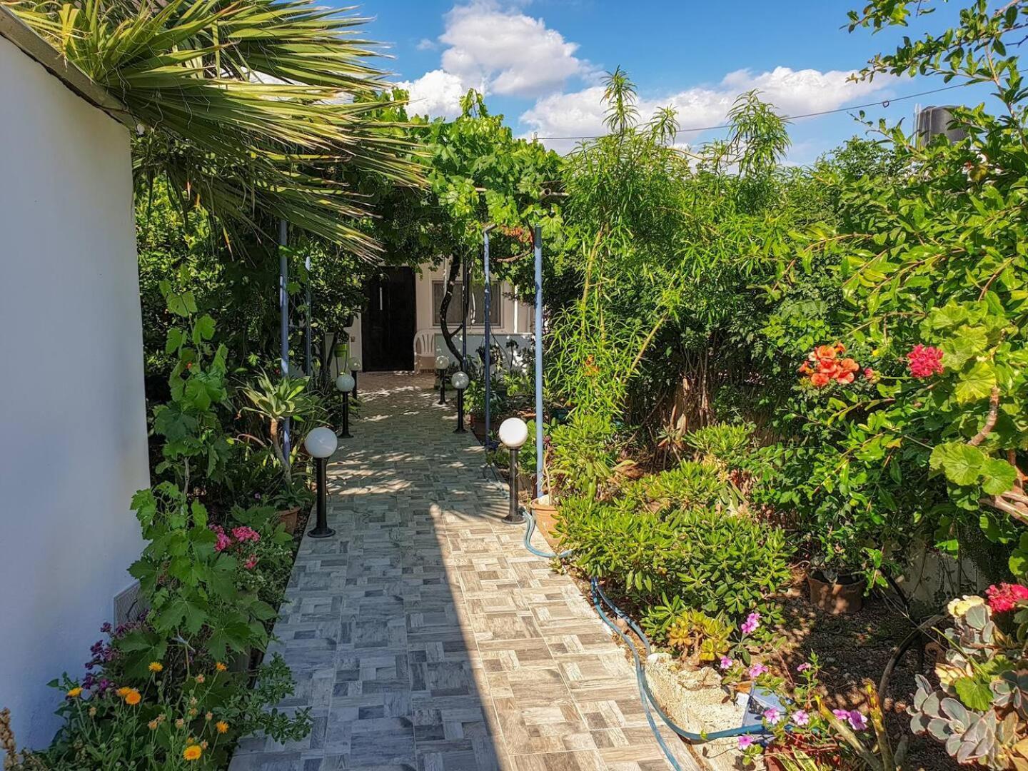 Вілла Maria'S House, With Garden Каламакі Екстер'єр фото
